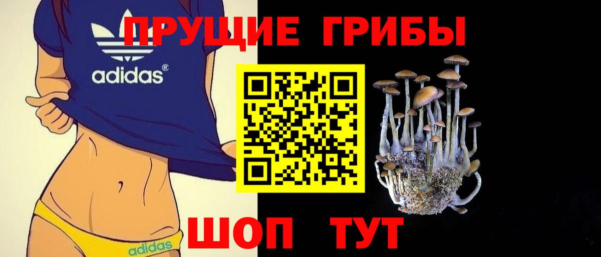 Ессентуки  Псилоцибиновые грибы Psilocybine cubensis  Вход с VPN 